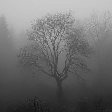 La dépression saisonnière