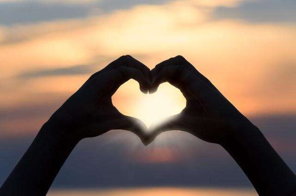 je t’aime mon amour je t'aime mon amour