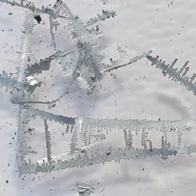 Mel science Avis scientifique