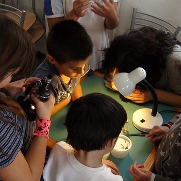 Mel Science tous les kits